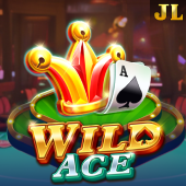 Wild Ace playtimecasinokelowna download